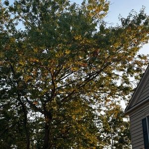 Meet your Posher, Alison